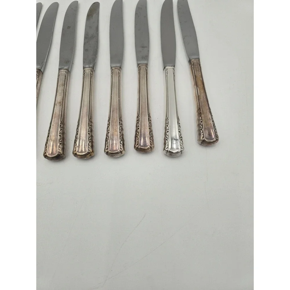 Holmes & Edwards May Queen Silverplate Dinner Knives Set of 10 Floral 9.25in